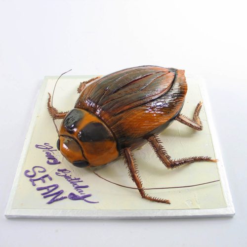 Best Oggy and Cockroaches Cake In Pune | Order Online