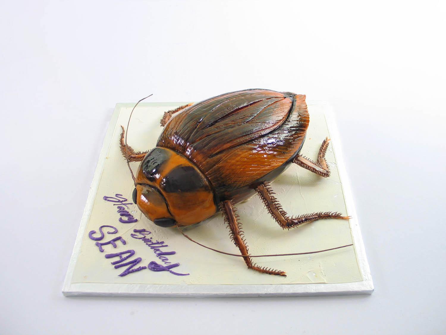 How to Make A COCKROACH CAKE! - YouTube